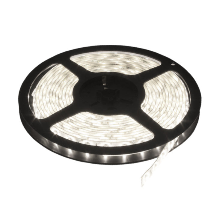 LED traka dnevno svetlo 120 LED / 1m 10M