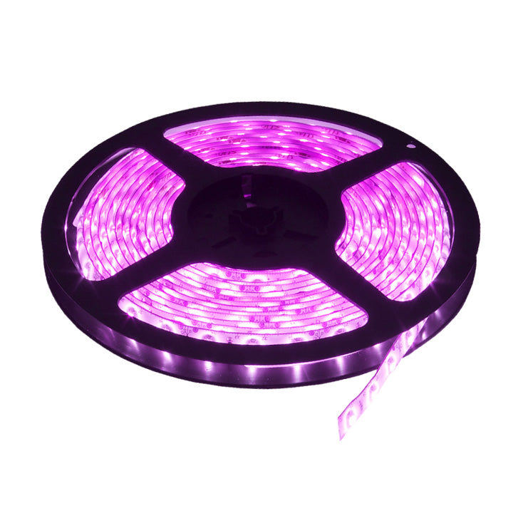 LED traka roza 60 LED / 1m 10M