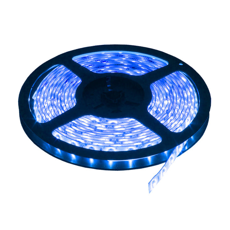 LED traka plava 60 LED / 1m 5M