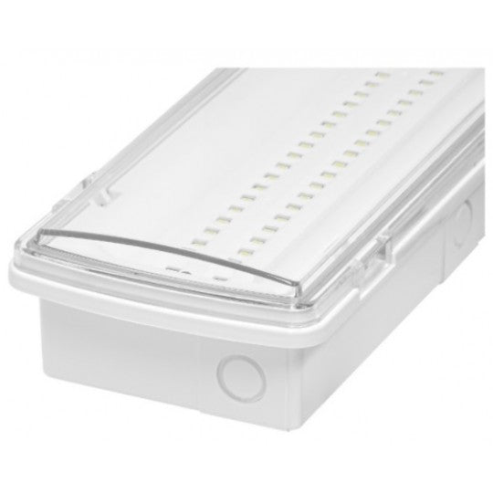 M650L punjiva lampa 50 LED IP65 Mitea Lighting