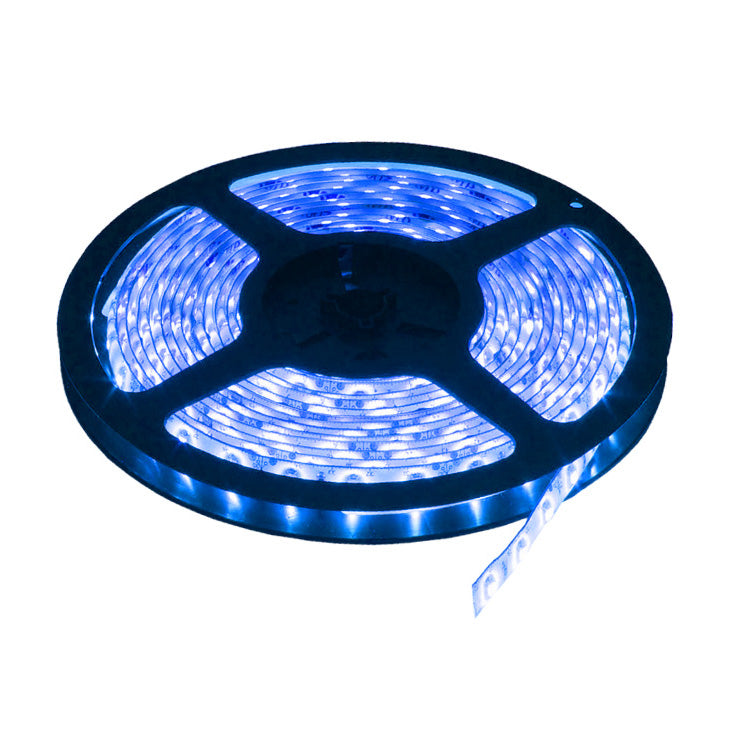 LED traka plava 60 LED / 1m 5M
