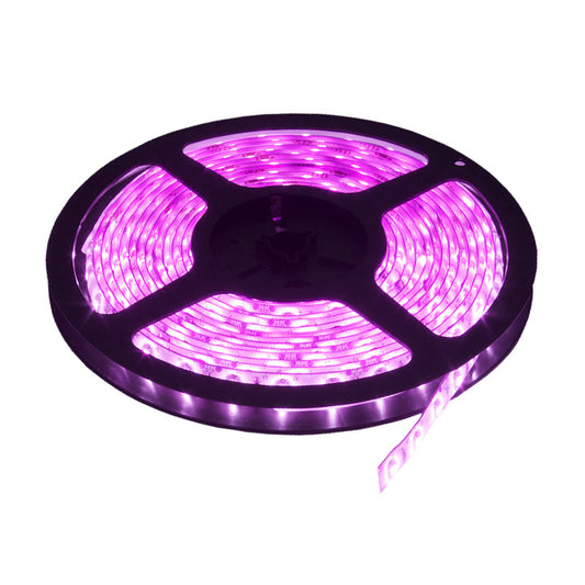 LED traka roza 60 LED / 1m 10M