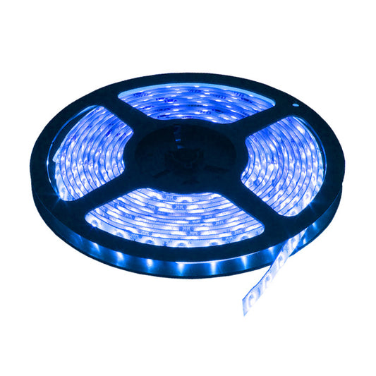 LED traka plava 60 LED / 1m 5M